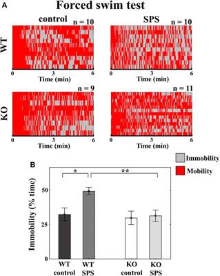 Transient receptor potential ankyrin 1 ion channel expressed by the Edinger-Westphal nucleus contributes to stress adaptation in murine model of posttraumatic stress disorder